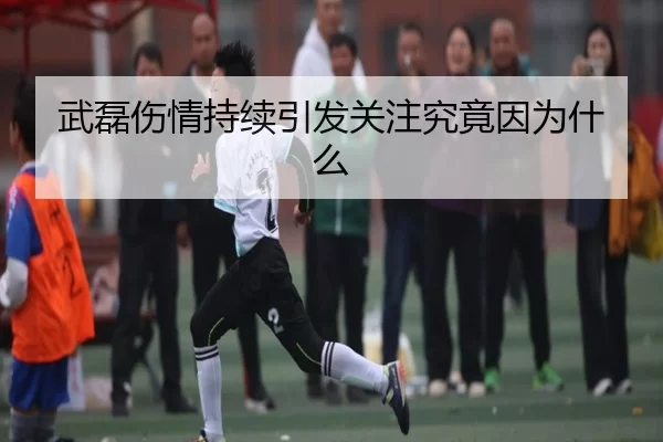 武磊伤情持续引发关注究竟因为什么